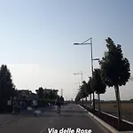 Delle Rose *